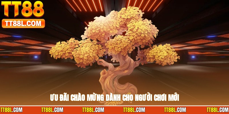 Khuyến mãi chào mừng dành cho hội viên mới